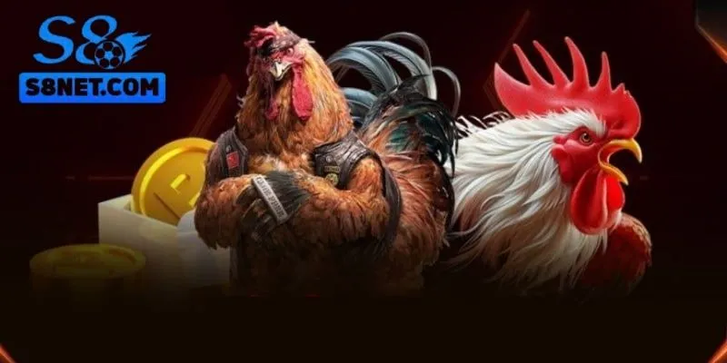 Nhiều hình thức đấu gà được yêu thích, lựa chọn